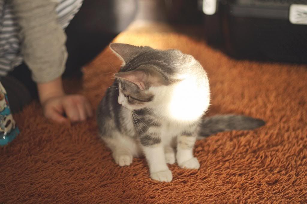 photo to6_zps8d2d92b2.jpg