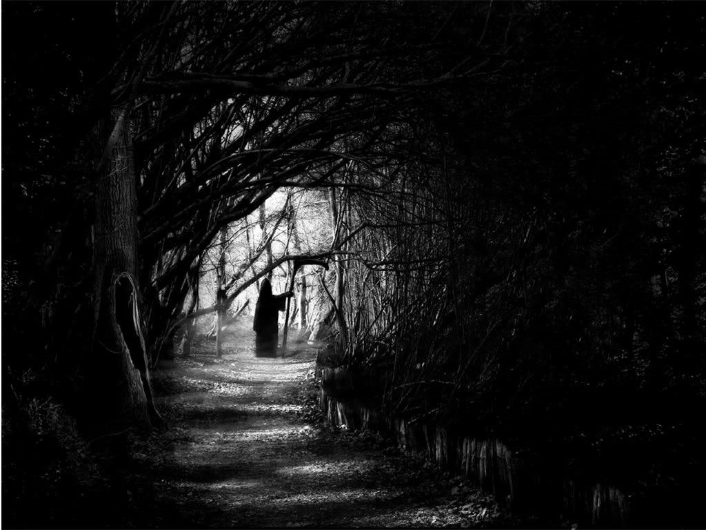 dark forests photo: dark DarknessFallsblackandwhite.jpg