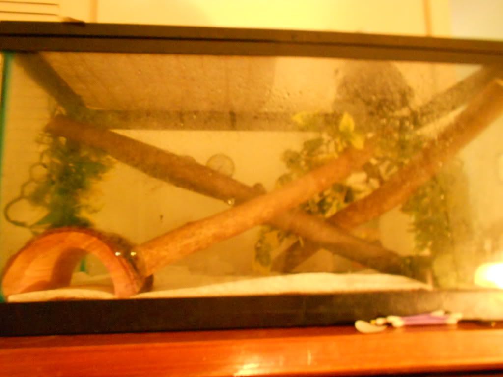 DSCN0137.jpg