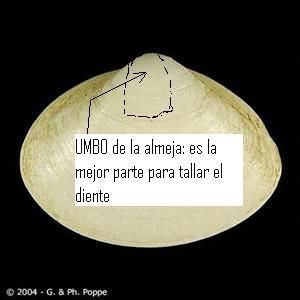 hazlo vos mismo hazlo vos mismo