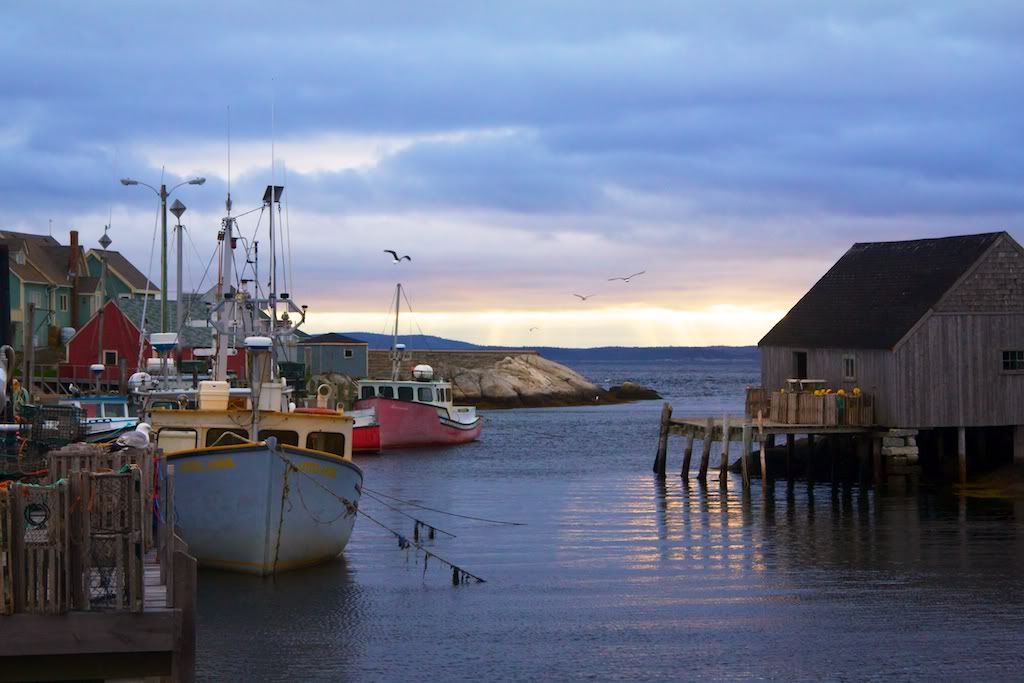 IMAGE: http://i1213.photobucket.com/albums/cc475/sjs5g9/IMG_2025.jpg