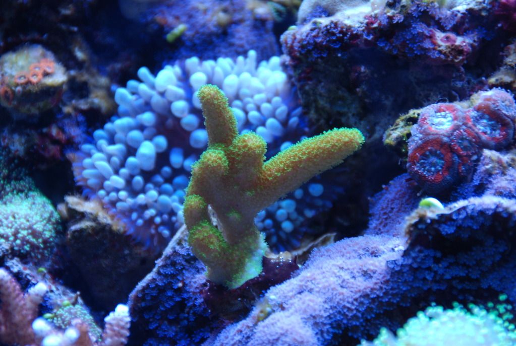DSC_0417.jpg