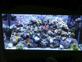 IMG00200-20120106-1653.jpg