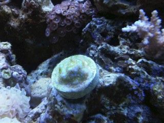 IMG00201-20120106-1653.jpg