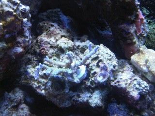 IMG00202-20120106-1653.jpg