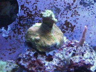 IMG00204-20120106-1657.jpg