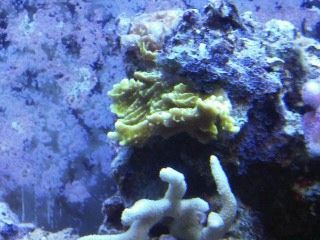 IMG00206-20120106-1658.jpg