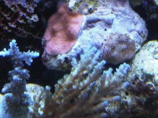 IMG00207-20120106-1658.jpg