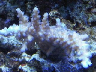 IMG00208-20120106-1658.jpg