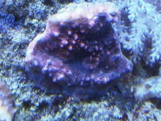 IMG00209-20120106-1659.jpg
