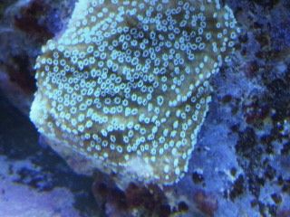 IMG00211-20120106-1659.jpg