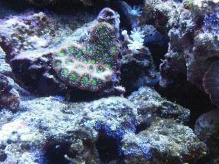 IMG00213-20120106-1659.jpg