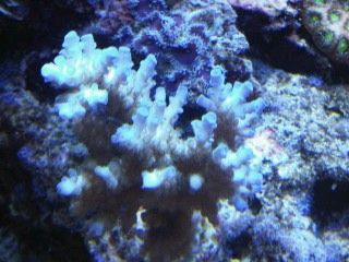 IMG00215-20120106-1700.jpg