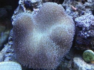 IMG00219-20120106-1701.jpg