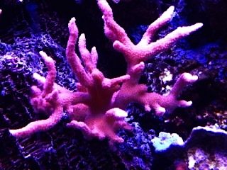 IMG00222-20120106-1732-1.jpg