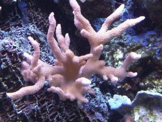 IMG00222-20120106-1732.jpg