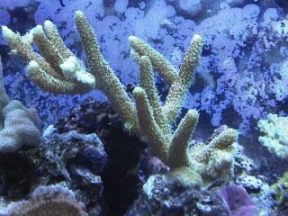 IMG00223-20120106-1732.jpg