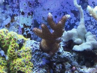 IMG00224-20120106-1732.jpg