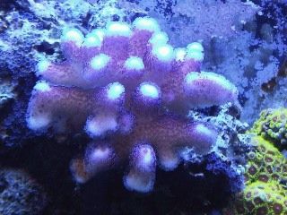 IMG00225-20120106-1732.jpg