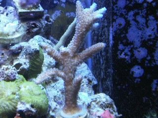 IMG00226-20120106-1733.jpg