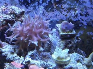 IMG00227-20120106-1733.jpg