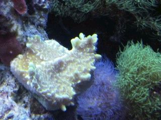 IMG00228-20120106-1733.jpg