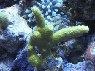 IMG00229-20120106-1733.jpg