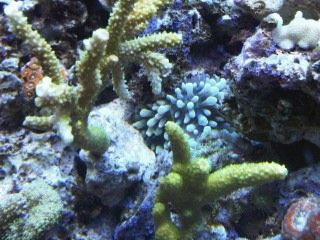 IMG00230-20120106-1734.jpg