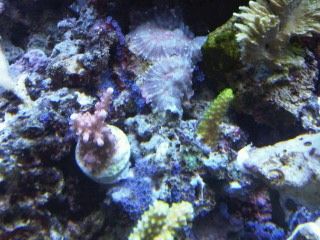 IMG00235-20120106-1736.jpg