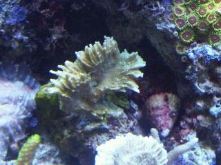 IMG00236-20120106-1736.jpg
