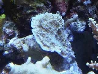 IMG00238-20120106-1736.jpg