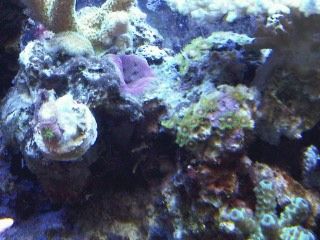 IMG00240-20120106-1737.jpg