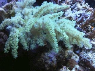 IMG00244-20120106-1739.jpg