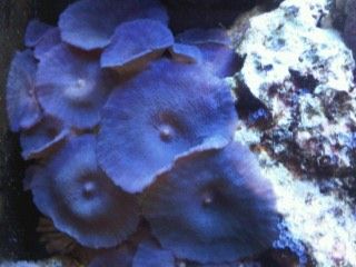 IMG00245-20120106-1739.jpg