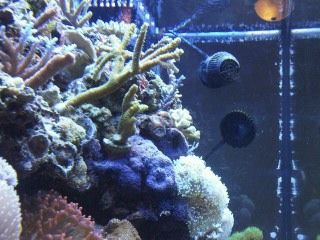 IMG00246-20120106-1739.jpg