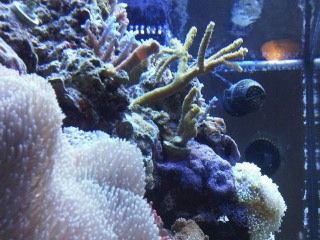 IMG00247-20120106-1740.jpg