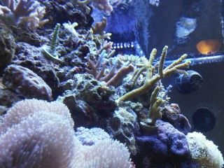 IMG00249-20120106-1740.jpg