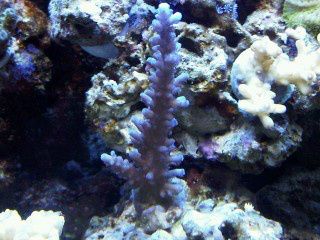 IMG00252-20120106-1741.jpg