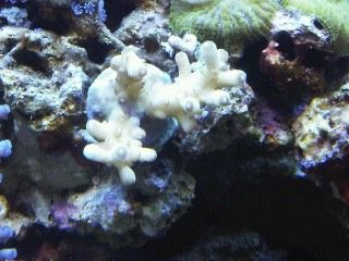 IMG00254-20120106-1742.jpg
