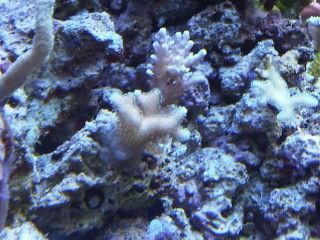 IMG00256-20120106-1742-1.jpg