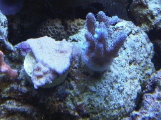 IMG00257-20120106-1743.jpg