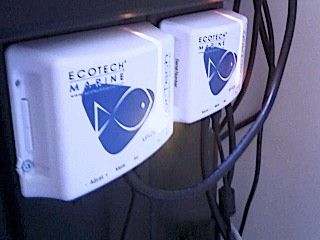 IMG00263-20120106-1744-1.jpg