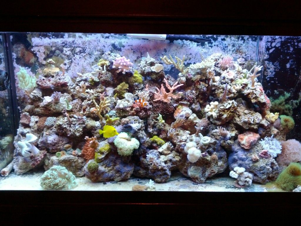 IMG_20120128_225050.jpg