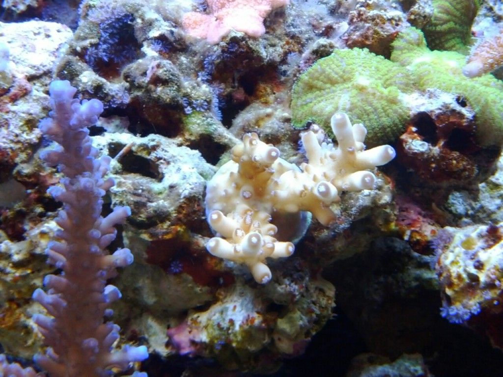 IMG_20120128_225430.jpg
