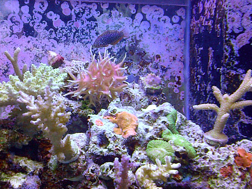 London-20120301-00039-1.jpg