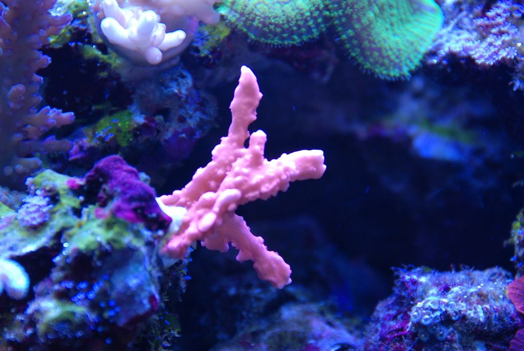 cd0709a7.jpg
