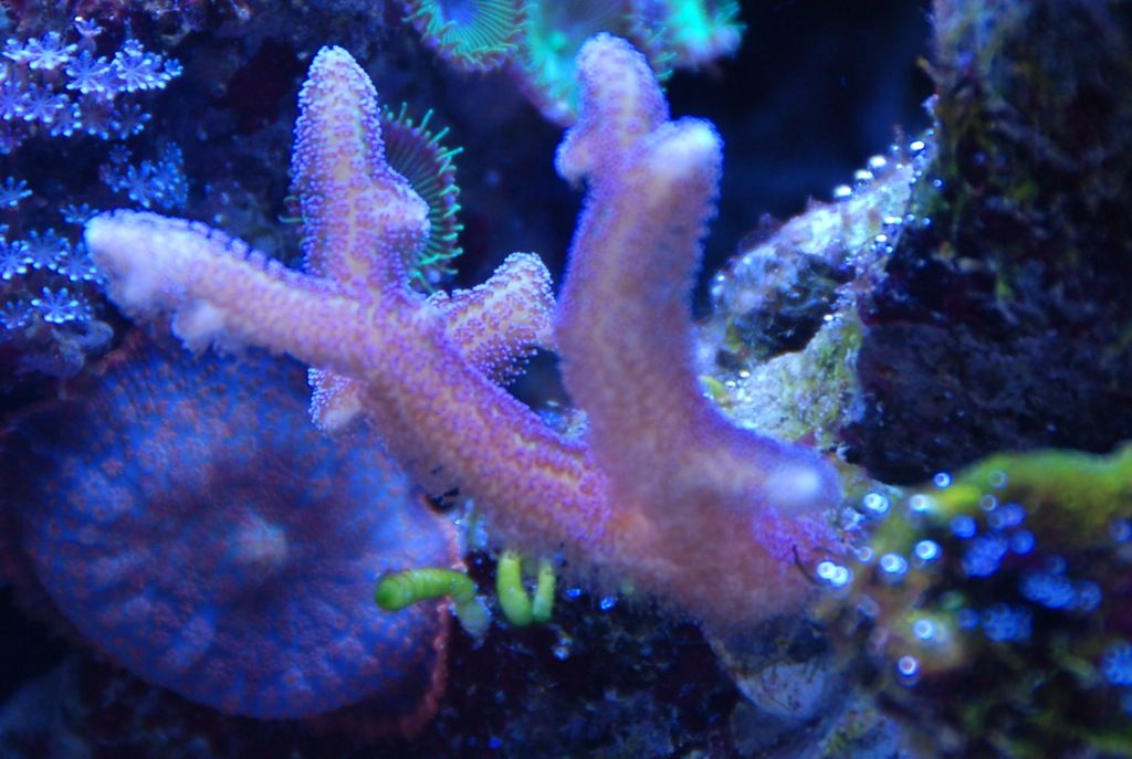 dccb34a8.jpg
