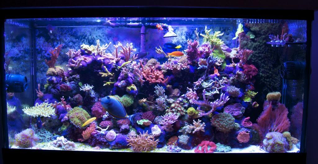 fts1_zps865d72e9.jpg