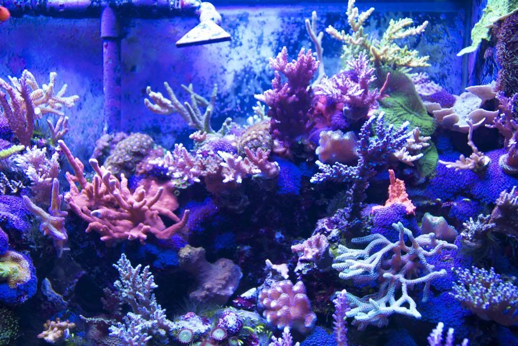 rightsidenofish_zps8a4d366b.jpg