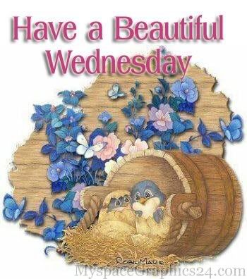 Wednesday Pictures, Images and Photos